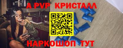 СК Новокубанск