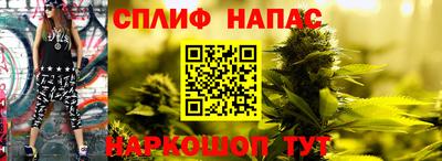 СК Новокубанск