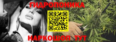 СК Новокубанск