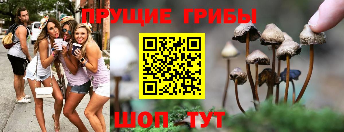 Псилоцибиновые грибы Psilocybine cubensis  Вход с VPN  где продают   Таганрог 
